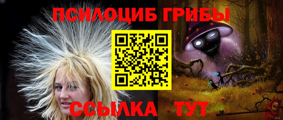 Псилоцибиновые грибы мухоморы Павлово