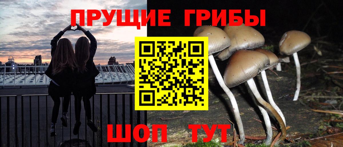 где можно купить наркотик  Псилоцибиновые грибы Cubensis  Вход с VPN  Павлово  Псилоцибиновые грибы мухоморы 